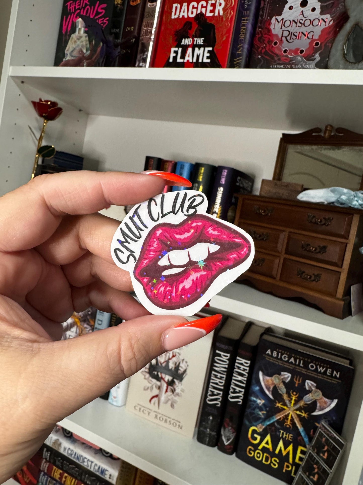 Smut Sticker Pack | Spicy Bookish Vinyl Stickers | Romance Reader Humor | Crying Over Fictional Men, Slow Burn, Male Tears & More
