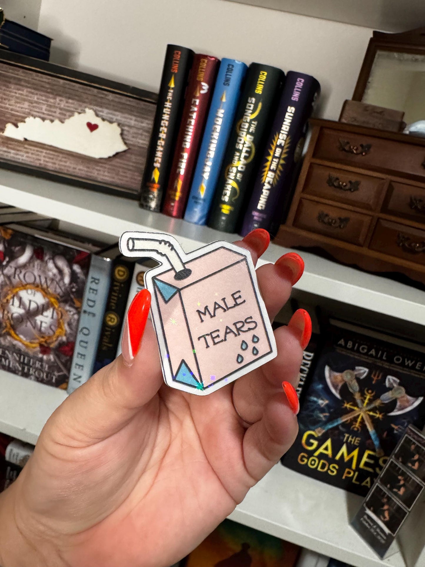 Smut Sticker Pack | Spicy Bookish Vinyl Stickers | Romance Reader Humor | Crying Over Fictional Men, Slow Burn, Male Tears & More